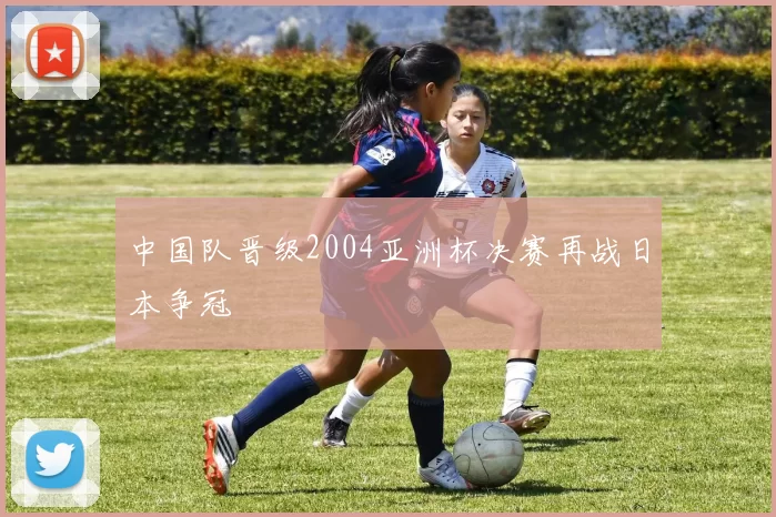 中国队晋级2004亚洲杯决赛再战日本争冠