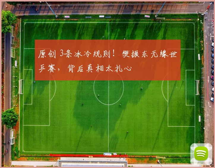 原创 3条冰冷规则！樊振东无缘世乒赛，背后真相太扎心