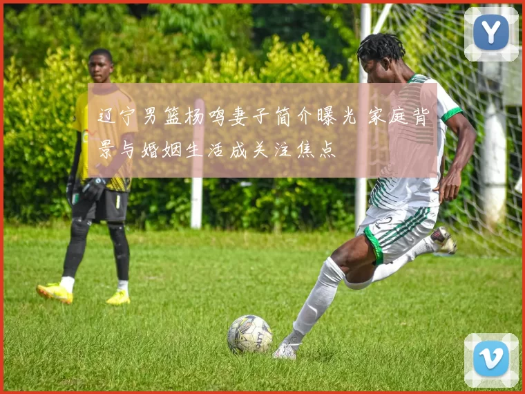 辽宁男篮杨鸣妻子简介曝光 家庭背景与婚姻生活成关注焦点